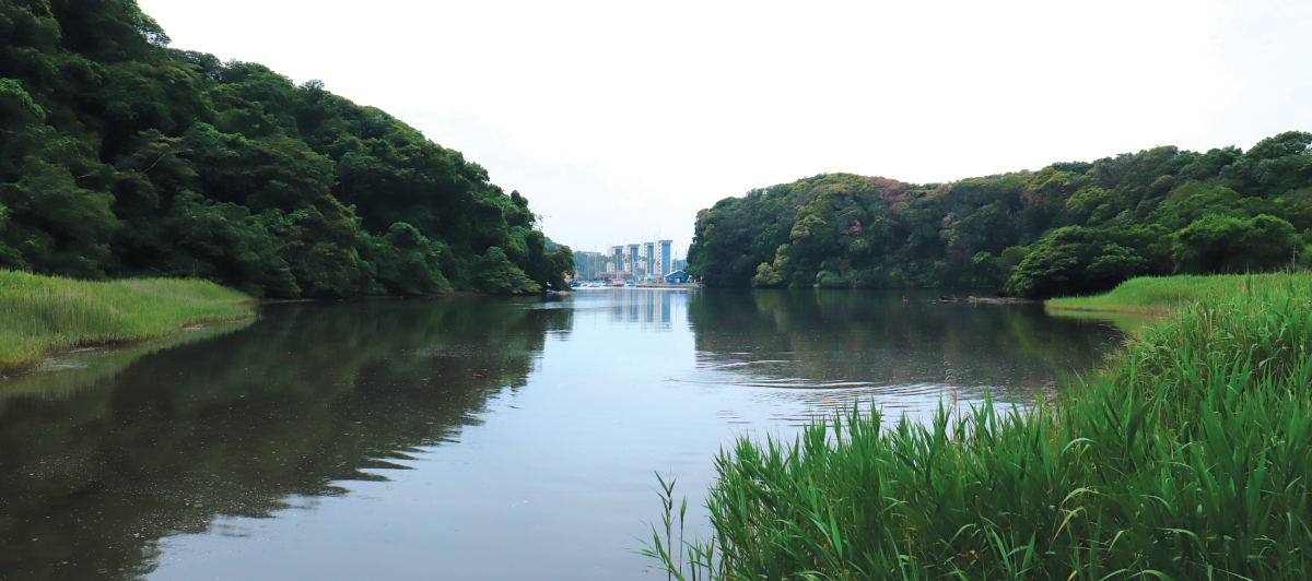 河口の石橋から干潟を望む