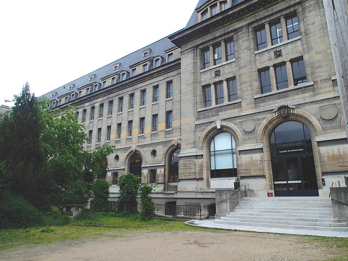 図3. サヴェチェが採集した標本が収蔵されているフランスの国立自然史博物館の植物標本庫(パリ)