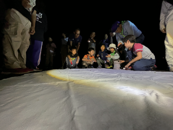 緑の少年団交流集会(ライトトラップ)