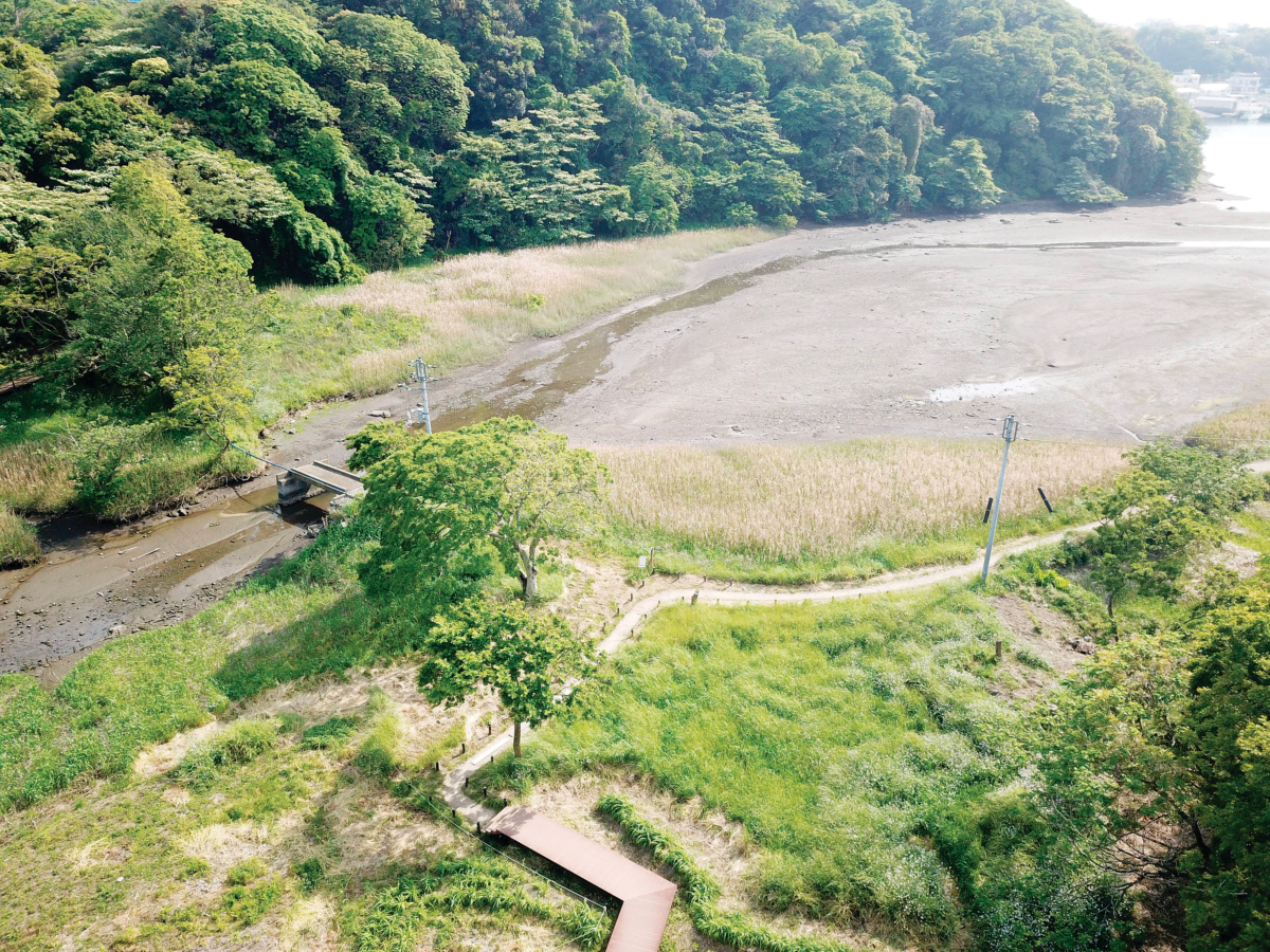 河口干潟:石橋から延びる澪筋