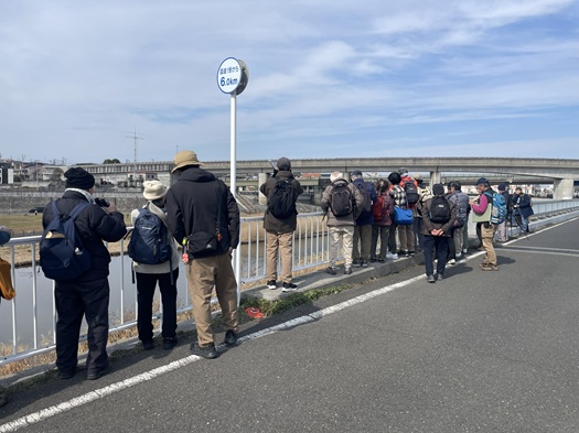 野鳥観察ピクセル加工
