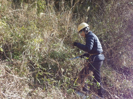 除伐ピクセル加工