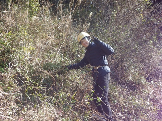 トゲに気を付けながら…