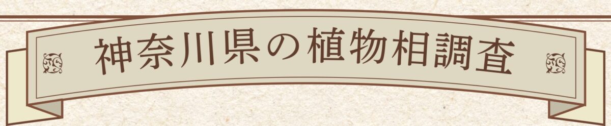神奈川県の植物相調査