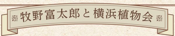 牧野富太郎と横浜植物会