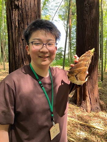 掘り上げたタケノコ 前田大使が掘り上げたタケノコ