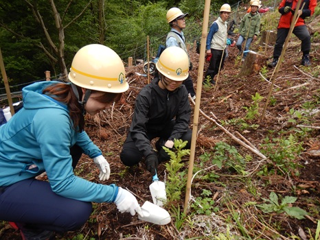 快汗やましごと！急斜面で苗木の植栽に挑戦