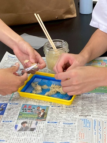 葉の繊維から紙を作る クズの葉のパルプ
