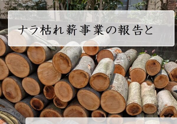 木質資源活用の情報交換会
