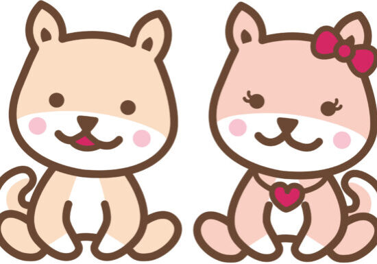 芝信用金庫画像１