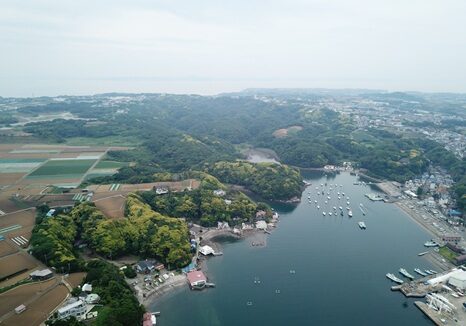 三浦半島にある小網代の森