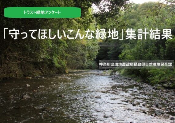 葛葉緑地