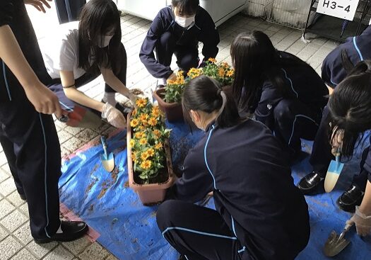 1鎌倉女学院　緑化活動（花育）