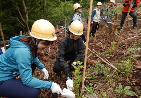 快汗やましごと！急斜面で苗木の植栽に挑戦