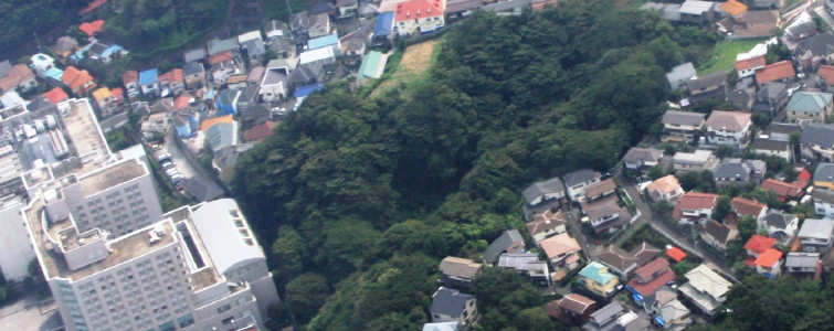 桜ケ丘緑地航空写真です